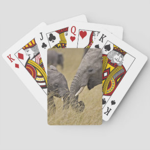Een Afrikaanse olifant graast in de velden Speelkaarten