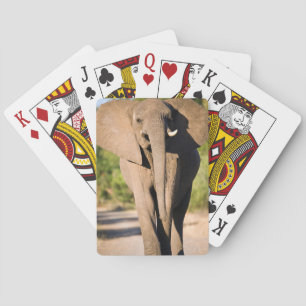 Een Afrikaanse olifant (Loxodonta Afriana) loopt Speelkaarten