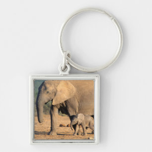 Een Afrikaanse olifant moeder en kalf op de been Sleutelhanger