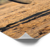 Een Afrikaanse olifantenmoeder en kalf onderweg Poster (Hoek)