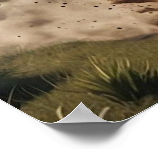 Een Amerikaanse cowboy rijdende stier Poster (Hoek)