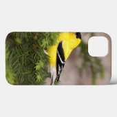 Een Amerikaanse Goldfinch man in een boom Case-Mate iPhone Case (Achterkant (horizontaal))