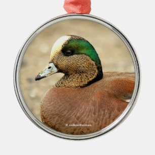 Een Amerikaanse Wigeon op het strand Metalen Ornament