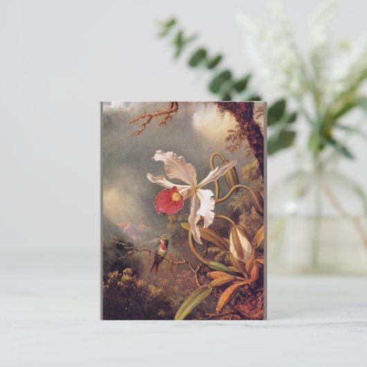 Een Amethist-kolibrie met een Witte Orchidee Briefkaart (Staand voorkant)