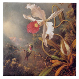 Een Amethyst Hummingbird met een White Orchid Tegeltje