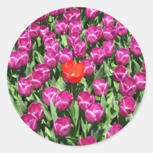 Een ander merk ronde sticker