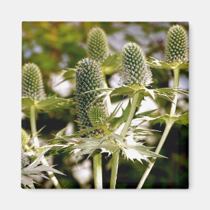 Een ander Plant Cool Magnet Magneet