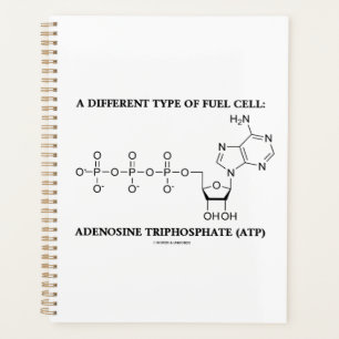 Een ander type brandstofcel ATP biochemie Planner