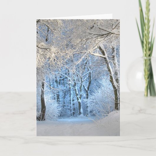 een ander winterwonderland feestdagen kaart (Voorkant)