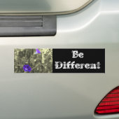 Een andere Inspirerend Bumpersticker zijn (Op auto)