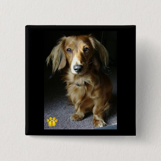 Een aparte Dachshund-Button Vierkante Button 5,1 Cm (Voorkant)