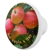 "EEN APPEL PER DAG"./CLUSTER VAN APPELS KERAMISCHE KERAMISCHE KNOP (Rechts)