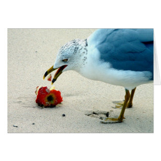 Een Apple per dag...