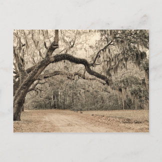 Een Arch of Oakes postkaart