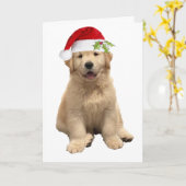 Een Archie Kerstmis Kaart (Gele Bloem)