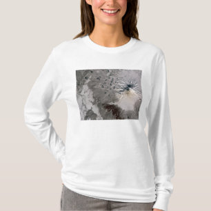 Een asrijke pluim stijgt t-shirt