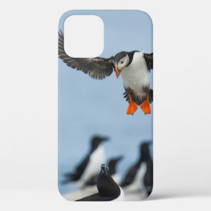 EEN ATLANTISCHE PUFFIN DIE MET ZIJN WIL IN AANLAND iPhone 12 HOESJE