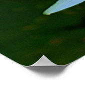 Een baby bundel van het poster van het Geniet (Hoek)