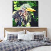 Een baby groene reiger canvas afdruk (Insitu (Slaapkamer))