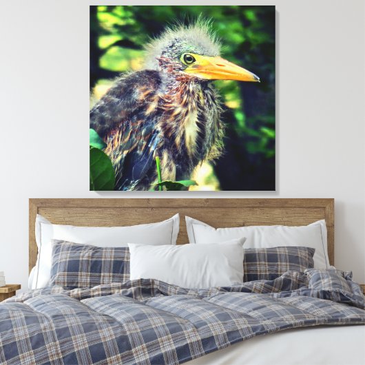 Een baby groene reiger canvas afdruk (Insitu (Slaapkamer))