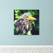 Een baby groene reiger canvas afdruk (Insitu (Houten vloer))