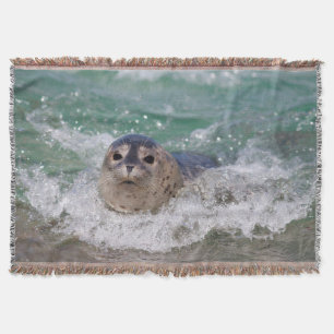 Een babyzeehond die surft deken