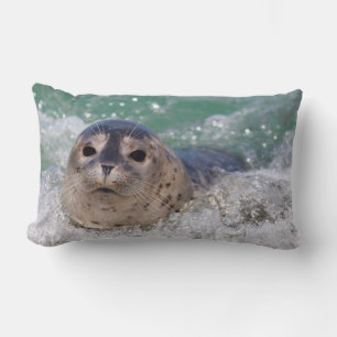 Een babyzeehond die surft kussen