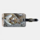 Een Bagagelabel van de Treat (Achterkant horizontaal)