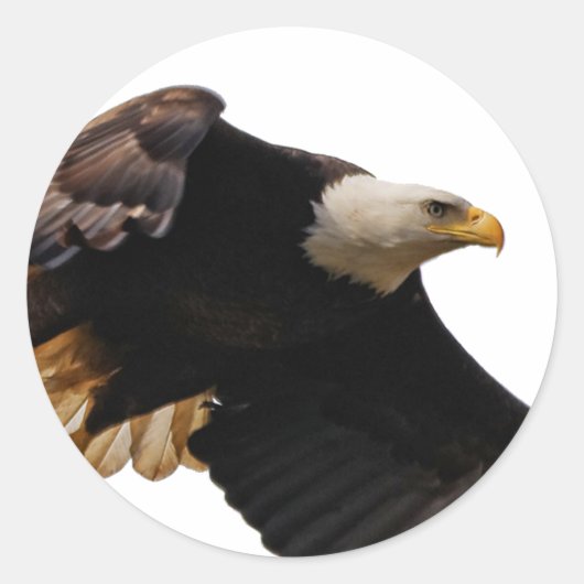 Een Bald Eagle neemt de hemel in Ronde Sticker (Voorkant)
