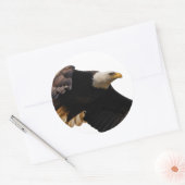 Een Bald Eagle neemt de hemel in Ronde Sticker (Envelop)