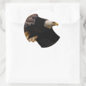 Een Bald Eagle neemt de hemel in Ronde Sticker (Tas)