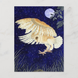 Een Barn Owl tijdens de vlucht Briefkaart