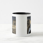 Een Barn Owl (Tyto alba) op een begraafplaats in h Mok (Midden)