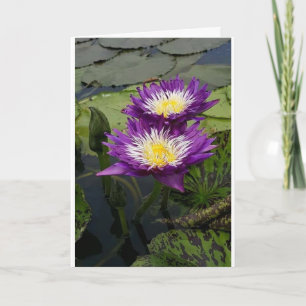 EEN "BEAUTIFUELE STROOM" VOOR "UW GROTE DAG"-KAART KAART