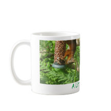 "Een beetje gek", ondersteboven rode eekhoorns.