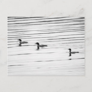 Een beetje leonie - Briefkaart