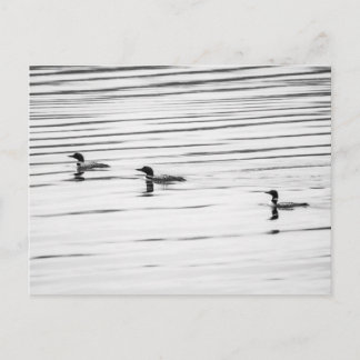 Een beetje leonie - Briefkaart