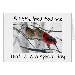 EEN BEETJE VOGELS VERTELD ME DAT HET ***ONZE SPECI