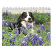 Een Berner Jaar Kalender (Hoes)