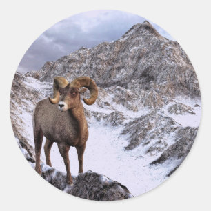 Een Bighorn Sheep kijkt in de vallei Ronde Sticker