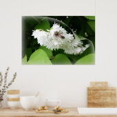 Een bij op één pagina poster (Keuken)