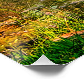 Een blauwe reiger perfect poster (Hoek)