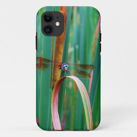 Een blauwgroen eyed Dragonfly met staarten Case-Mate iPhone Case (Achterkant)