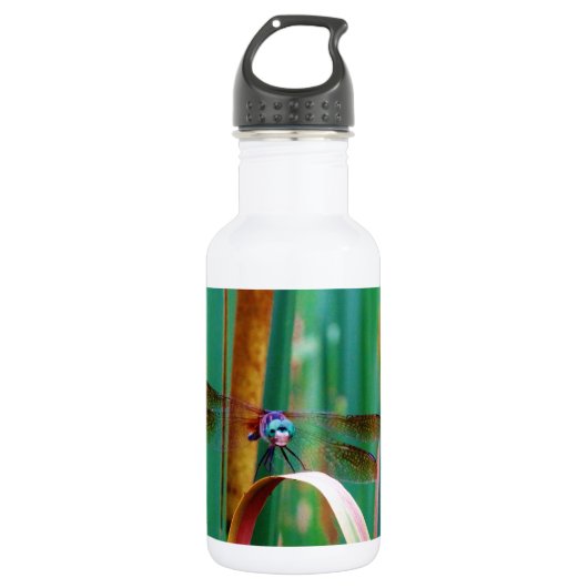 Een blauwgroen eyed Dragonfly met staarten Waterfles (Voorkant)
