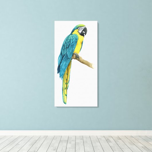 Een Blauwgroen Macaw Canvas Afdruk (Insitu (Houten vloer))