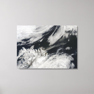 Een bleke grijze aspluim van de top canvas afdruk