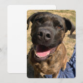 Een blij Bull Mastiff kruis dank je kaart (Voorkant / Achterkant)