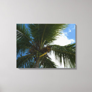 Een blik op de tropische Natuur van de Kokospalm Canvas Afdruk