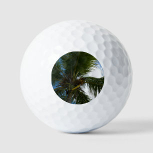 Een blik op de tropische Natuur van de Kokospalm Golfballen