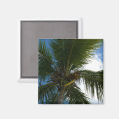 Een blik op de tropische Natuur van de Kokospalm Magneet (Voorkant / Achterkant)